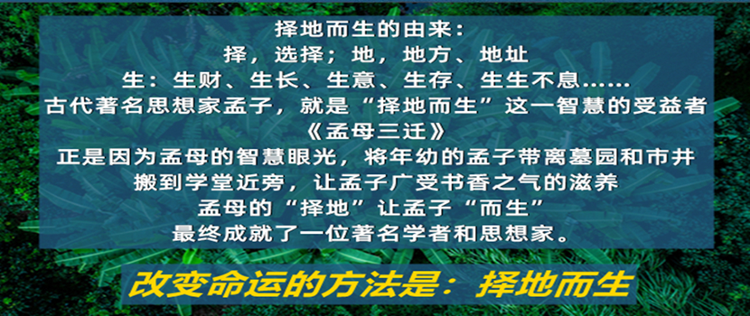 择地而生粮食白酒